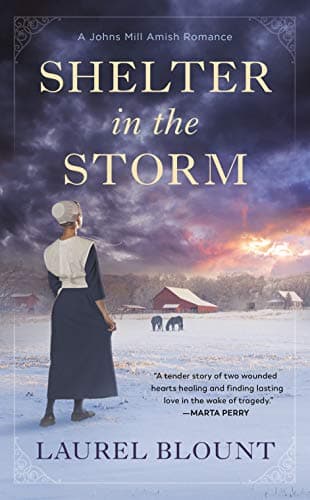 Cover of Shelter in the Storm (A Johns Mill Amish Romance)