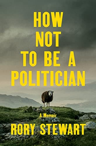 Cover of How Not to Be a Politician