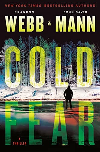 Cover of Cold Fear (The Finn Thrillers, Bk. 2)