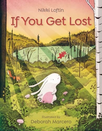 Cover of If You Get Lost