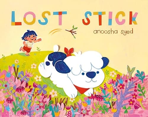 Cover of Lost Stick