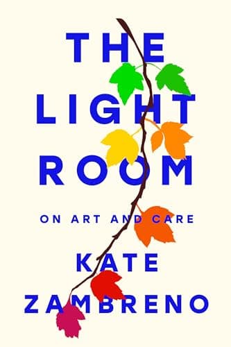 Cover of The Light Room: On Art and Care