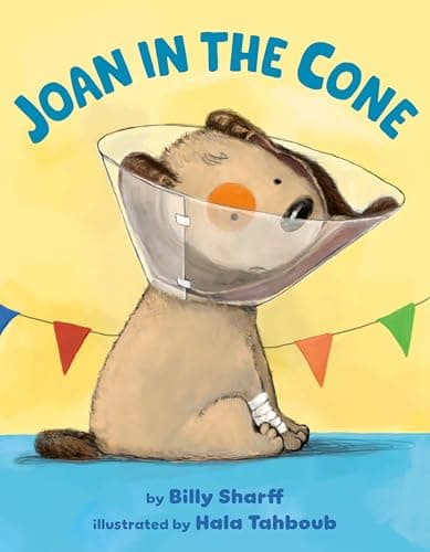 Cover of Joan in the Cone