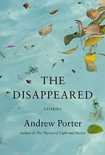 Cover of The Disappeared: Stories