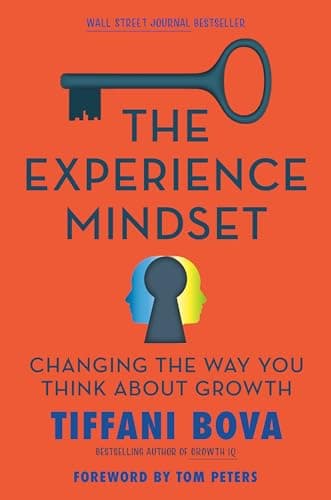 Cover of The Experience Mindset: Changing the Way You Think About Growth