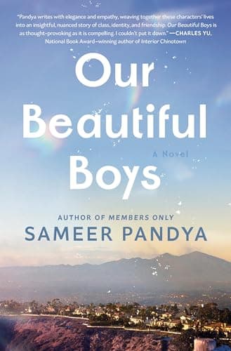 Cover of Our Beautiful Boys