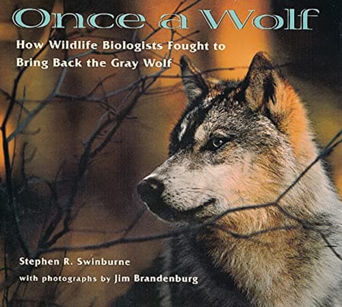 Cover of Once A Wolf (Scientists in the Field)