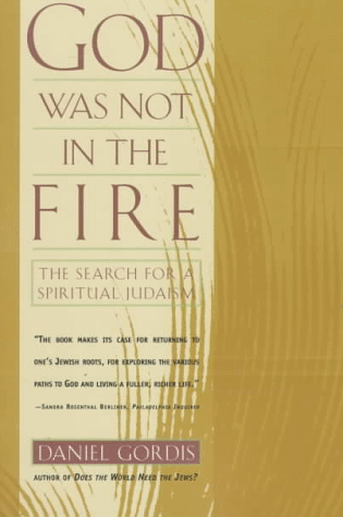 Cover of God Was Not in the Fire