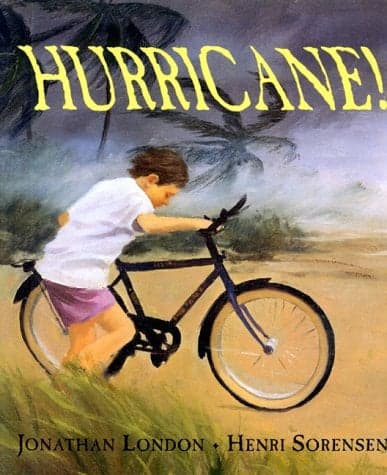Cover of Hurricane!