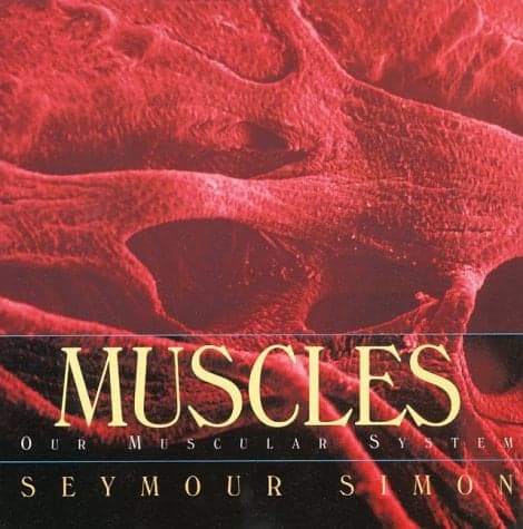 Cover of Muscles (Our Muscular System)
