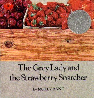 Cover of The Grey Lady And The Strawberry Snatcher