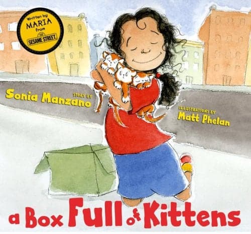 Cover of A Box Full of Kittens
