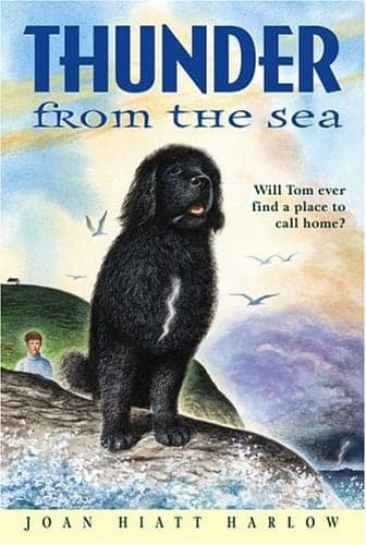 Cover of Thunder from the Sea