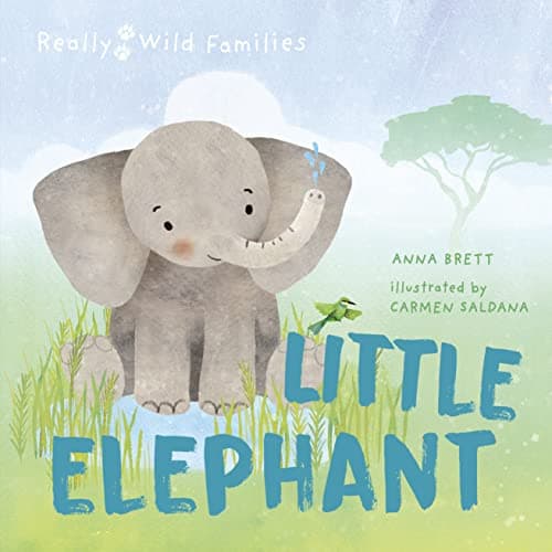 Cover of Little Elephant (Really Wild Families)
