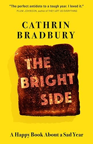 Cover of The Bright Side: A Happy Book About a Sad Year