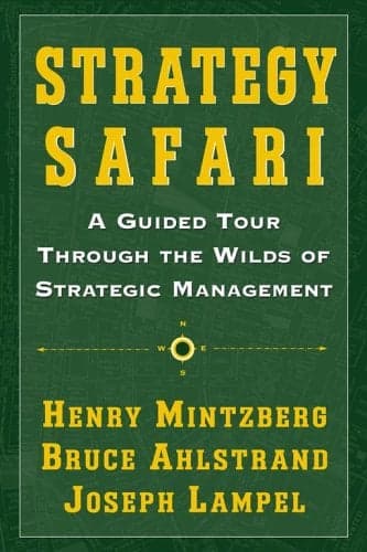 Cover of Strategy Safari