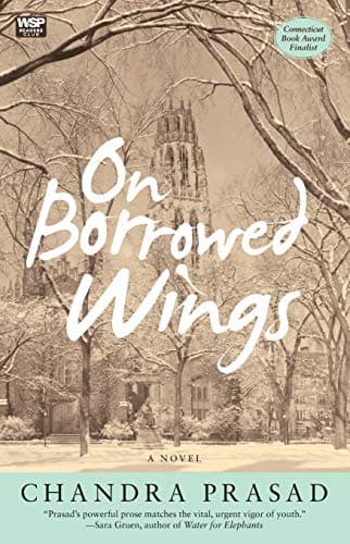 Cover of On Borrowed Wings