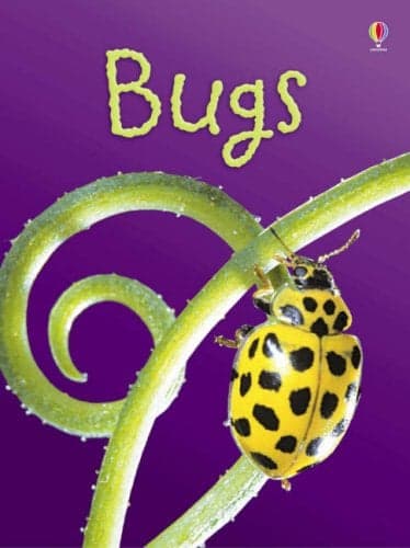 Cover of Bugs (Usborne Beginners, Level 1)