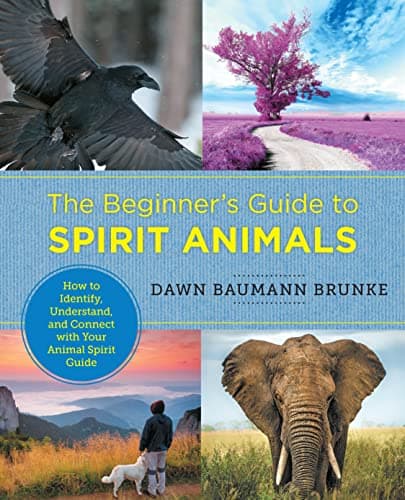 Cover of The Beginner's Guide to Spirit Animals: How to Identify, Understand, and Connect with Your Animal Spirit Guide