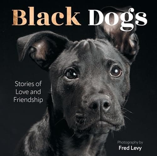 Cover of Black Dogs: Stories of Love and Friendship