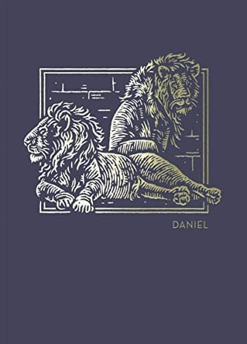Cover of NET Abide Bible Journal: Daniel
