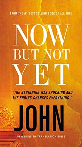 Cover of NET, Now but Not Yet: John (Eternity Now, Bk. 5)