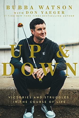 Cover of Up and Down: Victories and Struggles in the Course of Life