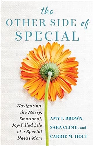 Cover of The Other Side of Special: Navigating the Messy, Emotional, Joy-Filled Life of a Special Needs Mom