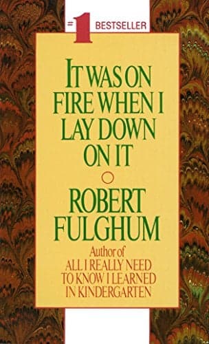 Cover of It Was on Fire When I Lay Down on It