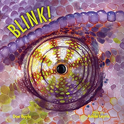 Cover of Blink! (Imagine This!)