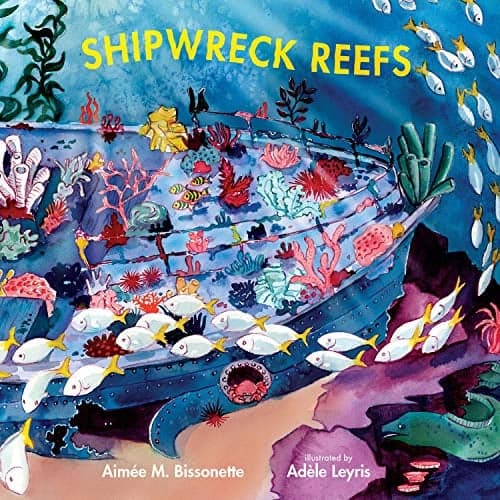 Cover of Shipwreck Reefs (Imagine This!)