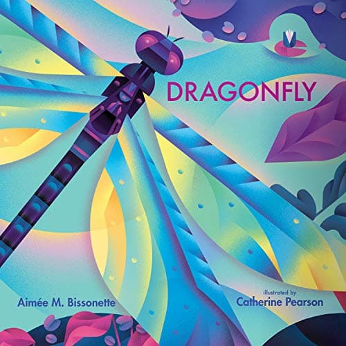 Cover of Dragonfly (Imagine This!)