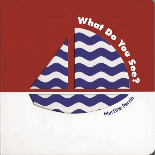 Cover of What Do You See?