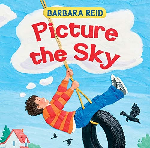 Cover of Picture the Sky