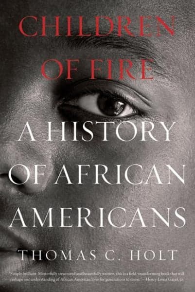 Cover of Children of Fire: A History of African Americans