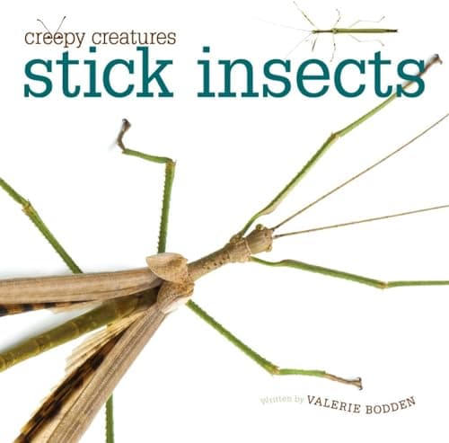 Cover of Stick Insects (Creepy Creatures)