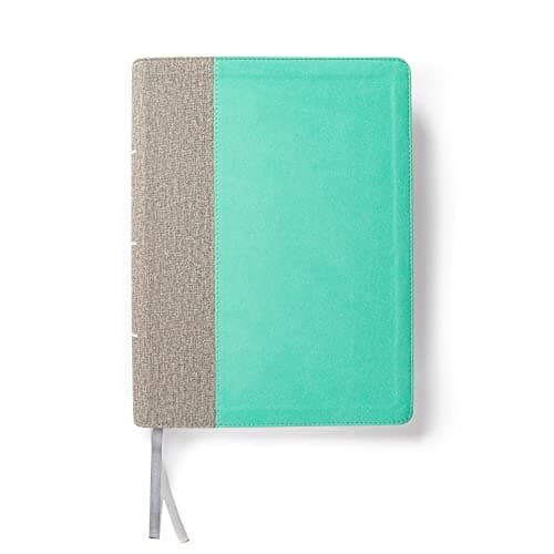 Cover of CSB Lifeway Women's Bible (Indexed, Gray/Mint LeatherTouch)