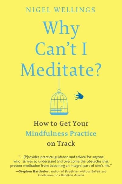 Cover of Why Can't I Meditate? How to Get Your Mindfulness Practice on Track