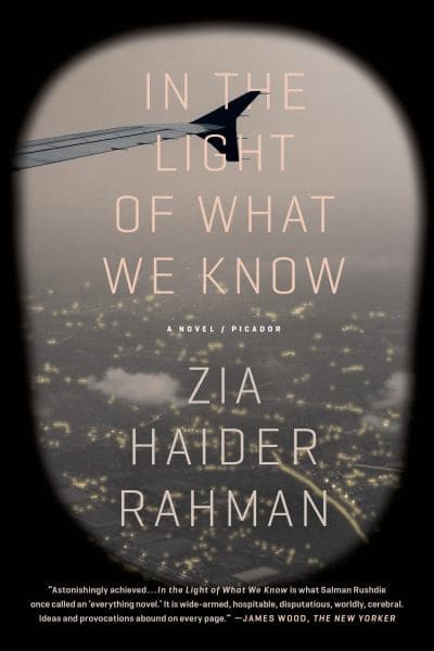 Cover of In the Light of What We Know
