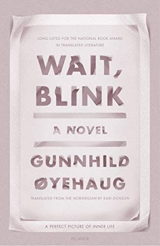 Cover of Wait, Blink: A Perfect Picture of Inner Life