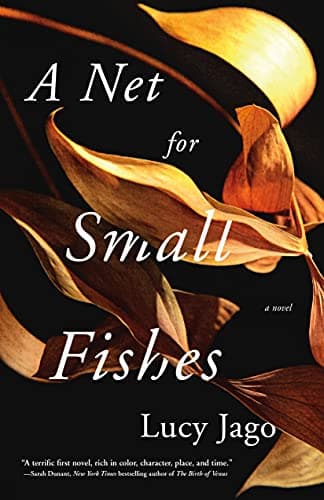 Cover of A Net for Small Fishes