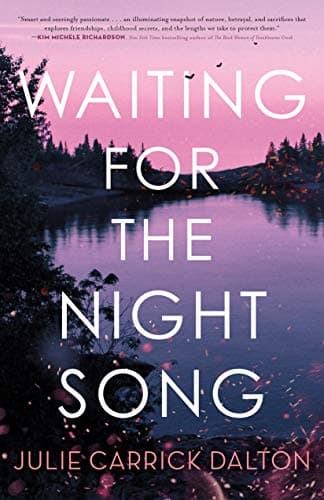 Cover of Waiting for the Night Song