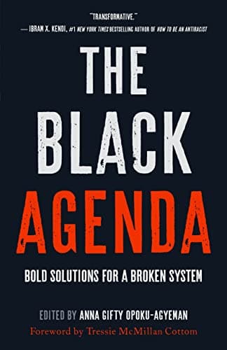 Cover of The Black Agenda: Bold Solutions for a Broken System