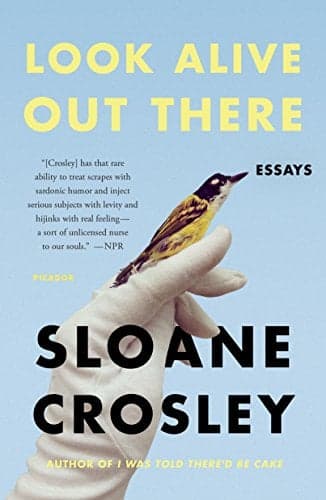 Cover of Look Alive Out There: Essays