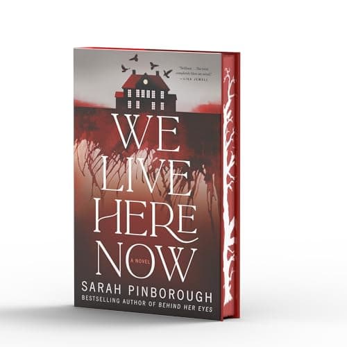 Cover of We Live Here Now