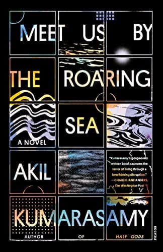 Cover of Meet Us By the Roaring Sea