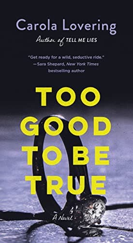 Cover of Too Good to Be True