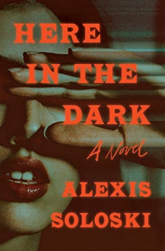 Cover of Here in the Dark