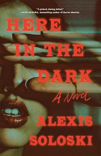 Cover of Here in the Dark