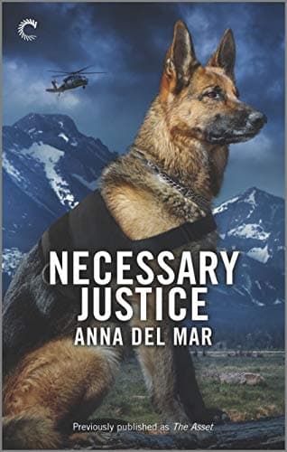 Cover of Necessary Justice
